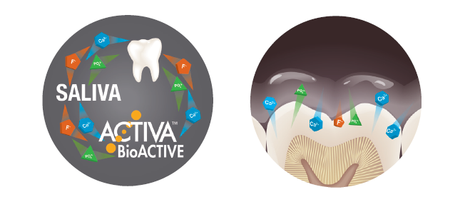 Lesen Sie mehr über den Artikel Top 5 Gründe, warum ACTIVA™ BioACTIVE gut für Sie ist