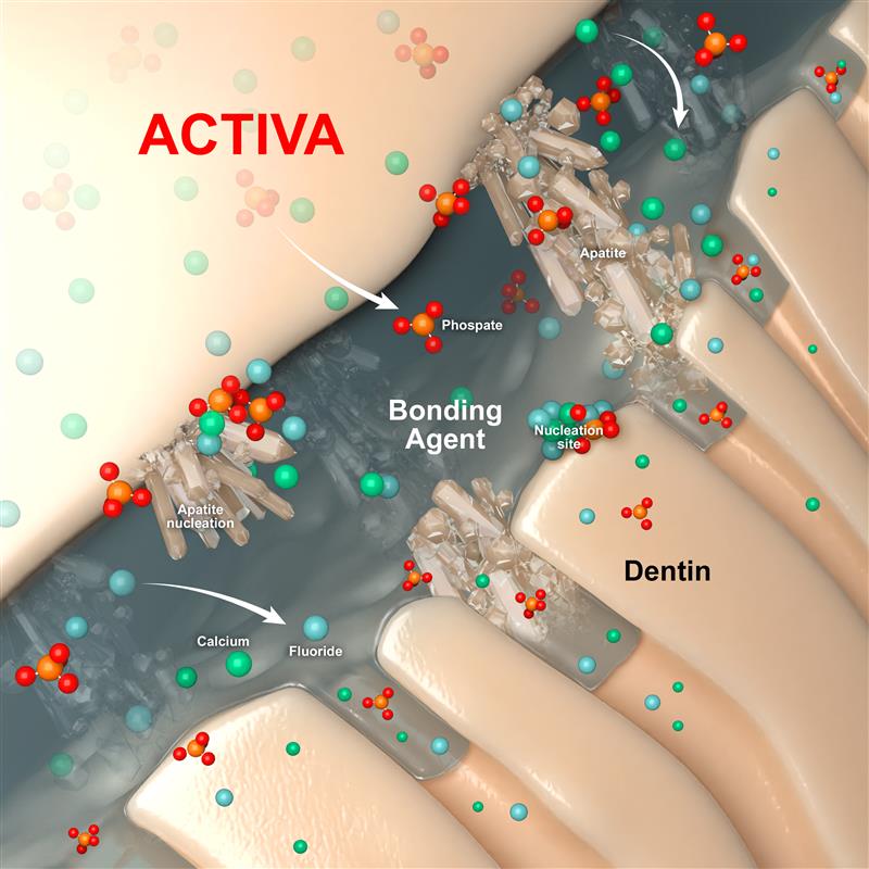 Bioactivity illlustration_1v4